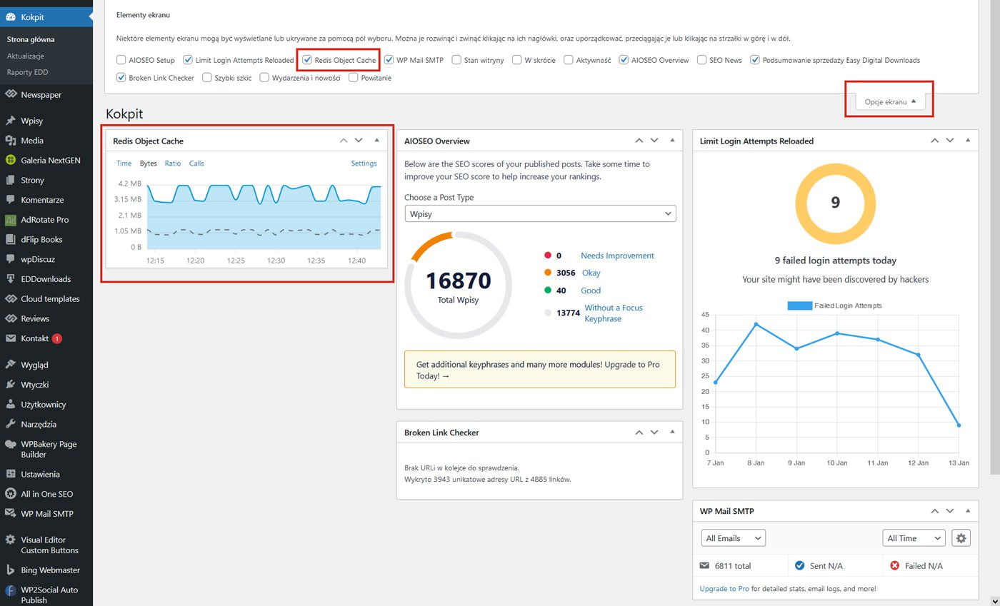 Redis w kokpicie WordPress